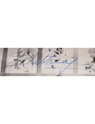 PIAF Edith (1915-1963)